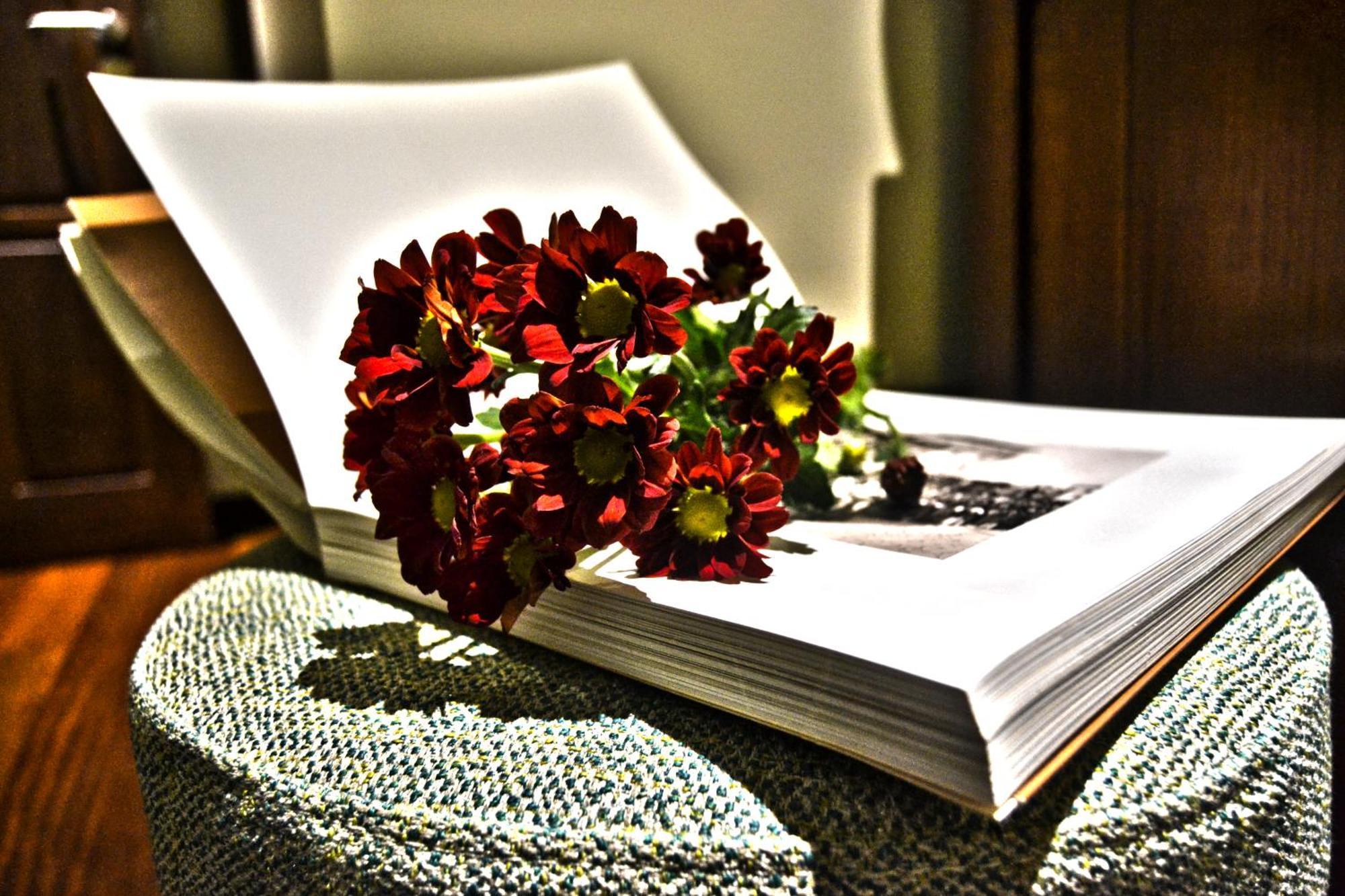 Casa Do Passal Country House Paço de Sousa エクステリア 写真